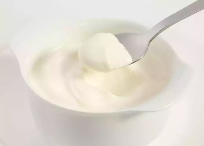 Greek Yogurt healthy snack