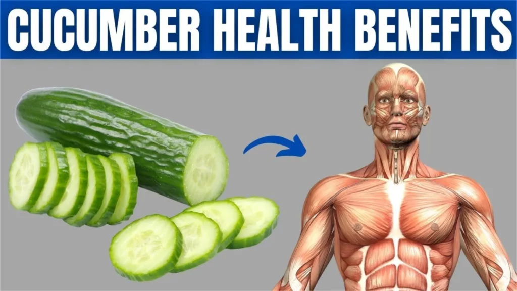 Health Benefits of Cucumber